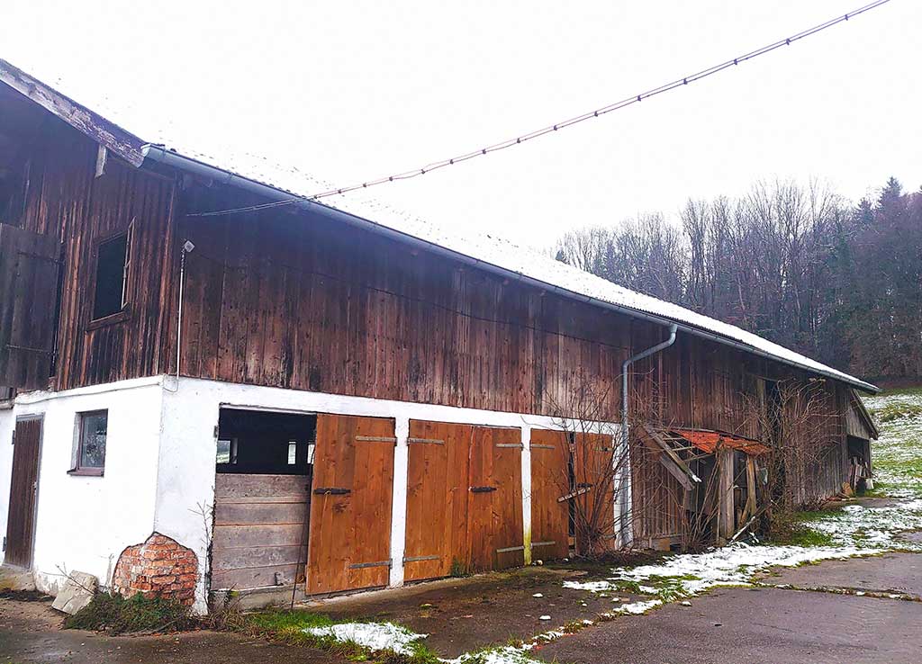 Bestandsaufnahme Einliegerwohnung